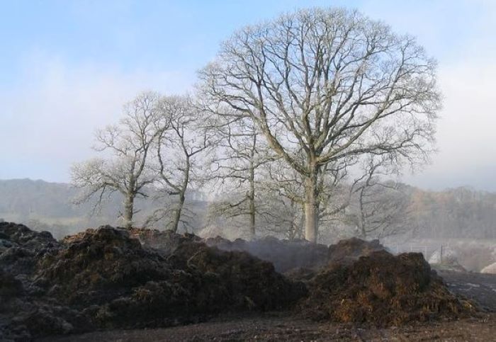 A massive heap of manure. A large farm can produce more waste than an entire city.
